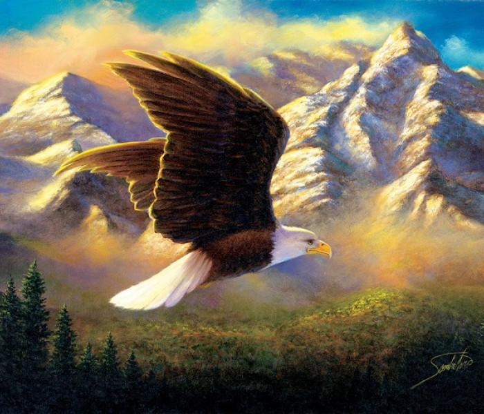 Puzzle - Sunsout - Vultur