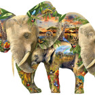 Puzzle - Sunsout - Elefanți