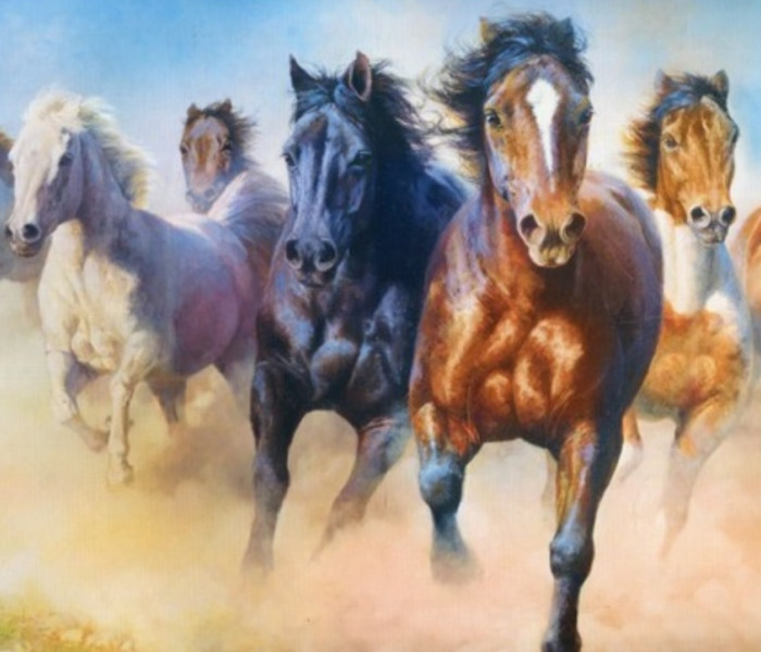 Puzzle - Trefl - Cai în galop