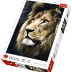 Puzzle - Trefl - Portret de leu