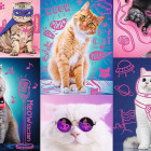 Puzzle - Trefl - Super pisici