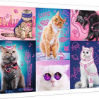 Puzzle - Trefl - Super pisici