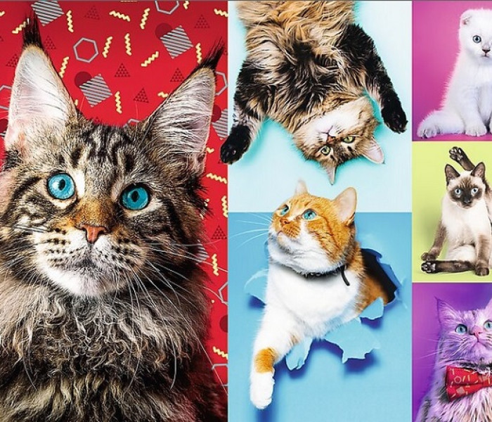 Puzzle - Trefl - Pisici vesele