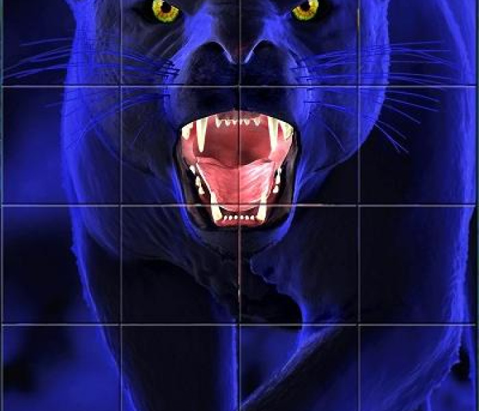 Puzzle - Piatnik - Panteră - Puzzle cu efect 3D