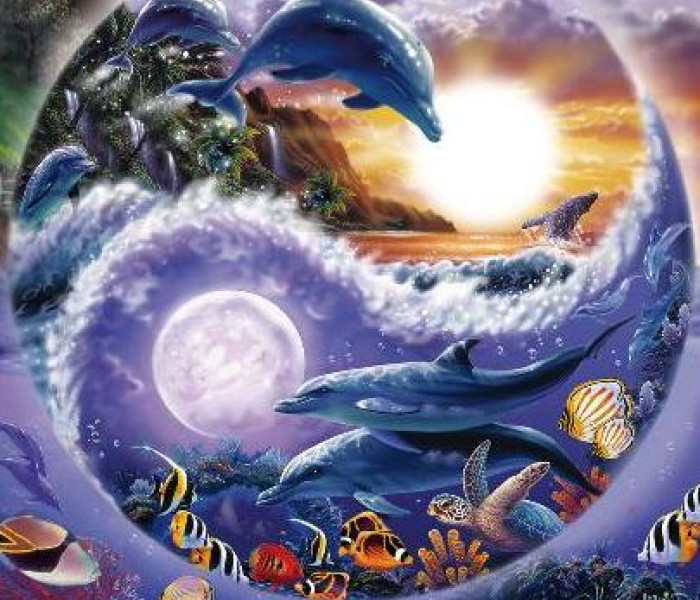 Puzzle - Zdeko - Ciclul vieții