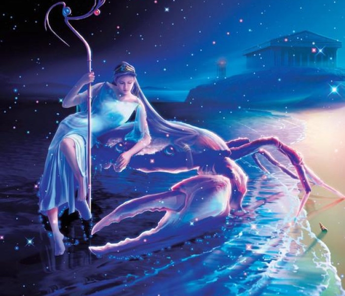 Puzzle - Zdeko - Rac