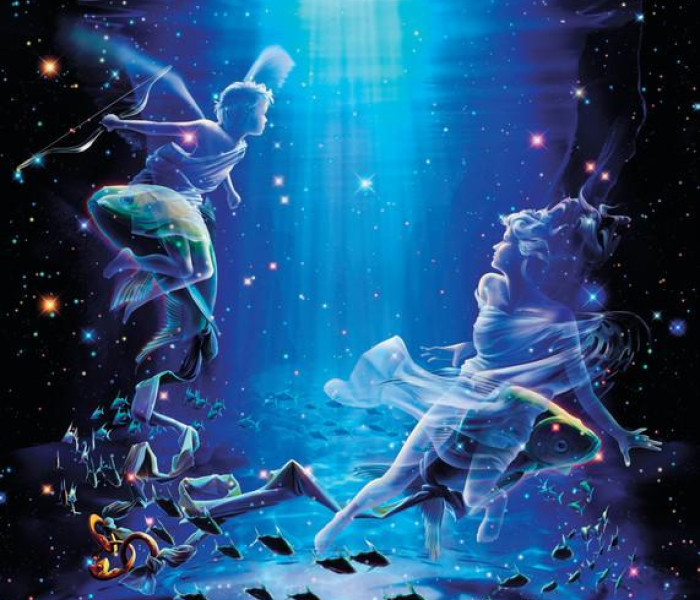 Puzzle - Zdeko - Pești