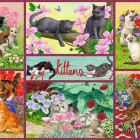 Puzzle - Falcon - Pisicuțe jucăușe