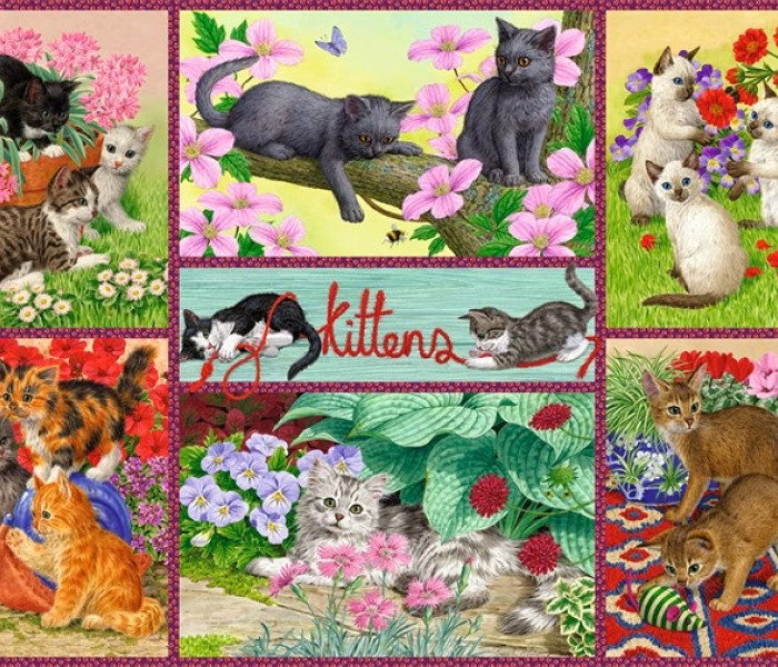 Puzzle - Falcon - Pisicuțe jucăușe